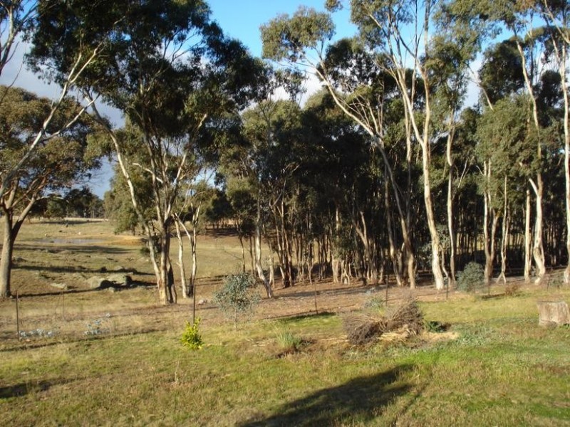 65 Lamplough Heights Road, Avoca VIC 3467