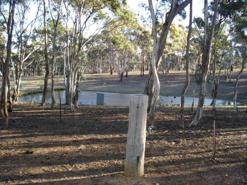 65 Lamplough Heights Road, Avoca VIC 3467