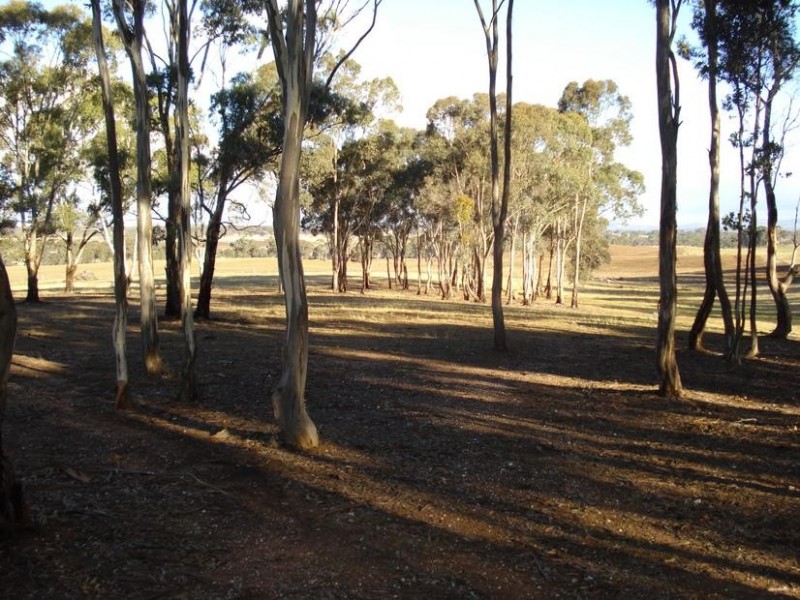 65 Lamplough Heights Road, Avoca VIC 3467