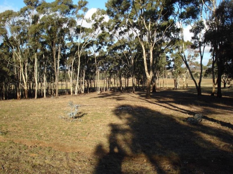 65 Lamplough Heights Road, Avoca VIC 3467