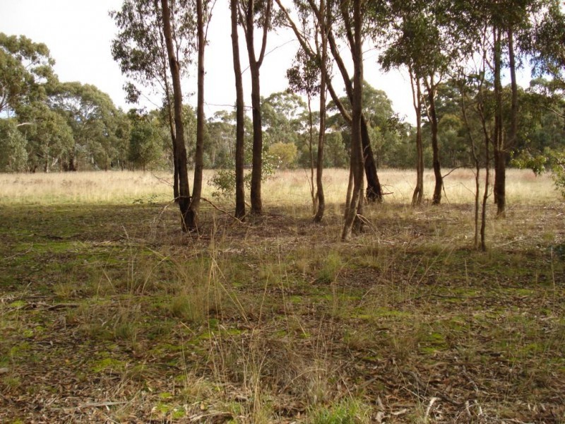 44 Trickeys Road, MOONLIGHT FLAT, Maryborough VIC 3465