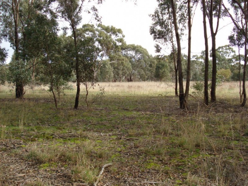 44 Trickeys Road, MOONLIGHT FLAT, Maryborough VIC 3465