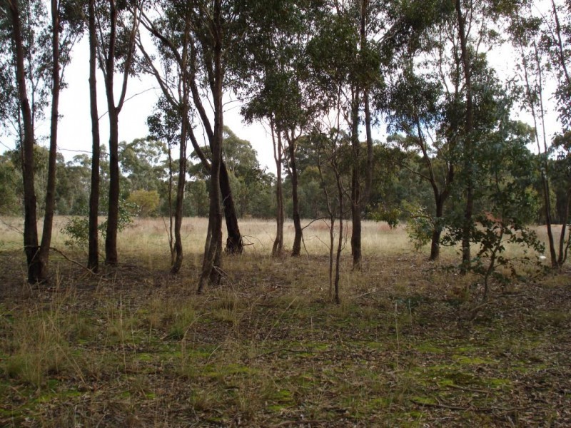 44 Trickeys Road, MOONLIGHT FLAT, Maryborough VIC 3465