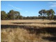 Lot 23, . Old Laanecoorie Road, Tarnagulla VIC 3551