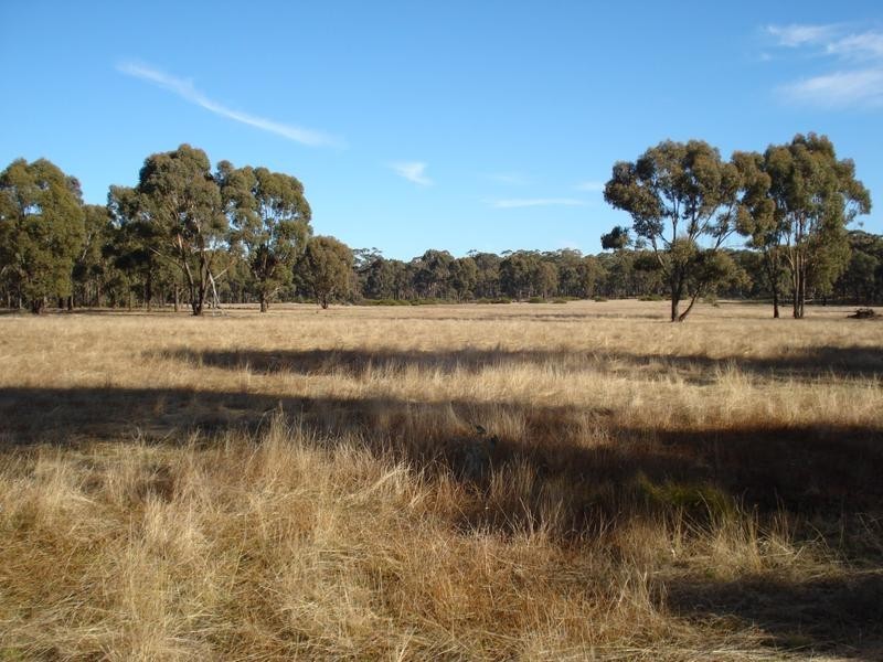 Lot 23, . Old Laanecoorie Road, Tarnagulla VIC 3551