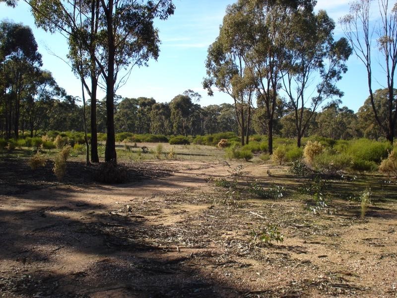 Lot 23, . Old Laanecoorie Road, Tarnagulla VIC 3551