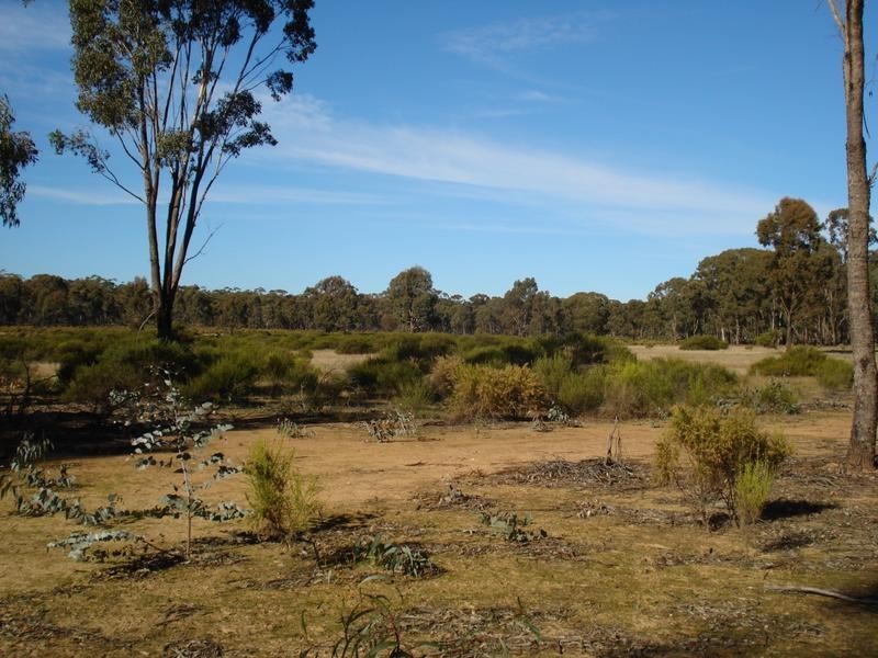 Lot 23, . Old Laanecoorie Road, Tarnagulla VIC 3551