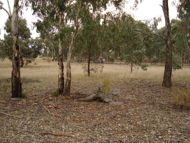 47 Separation Road, Dunolly VIC 3472