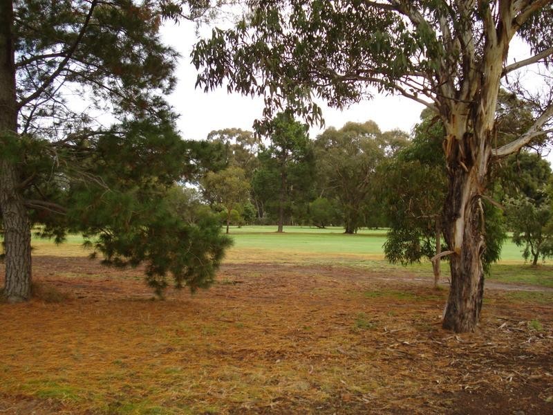 299 Gladstone Street, Maryborough VIC 3465