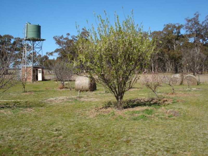 229 Shepherds Road, Bowenvale VIC 3465