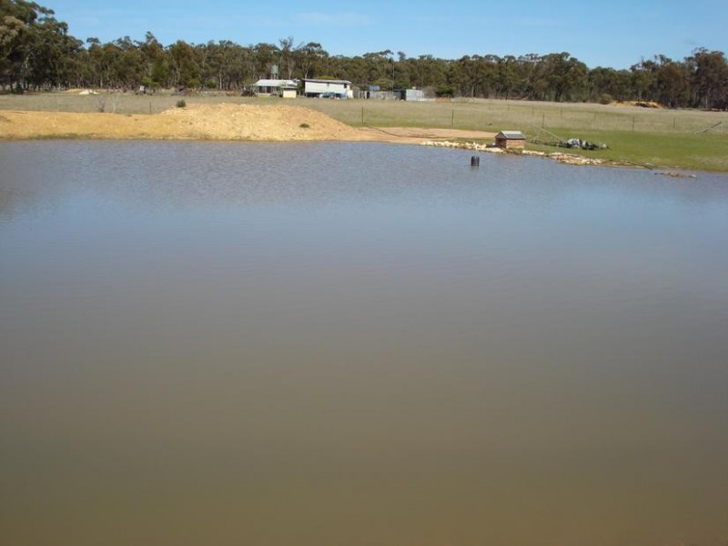 229 Shepherds Road, Bowenvale VIC 3465