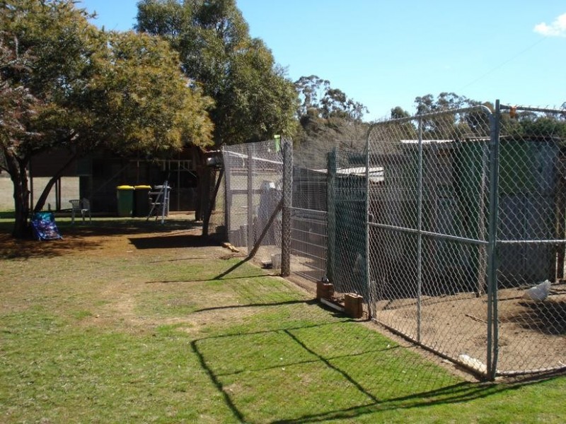 229 Shepherds Road, Maryborough VIC 3465