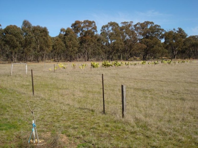 229 Shepherds Road, Maryborough VIC 3465