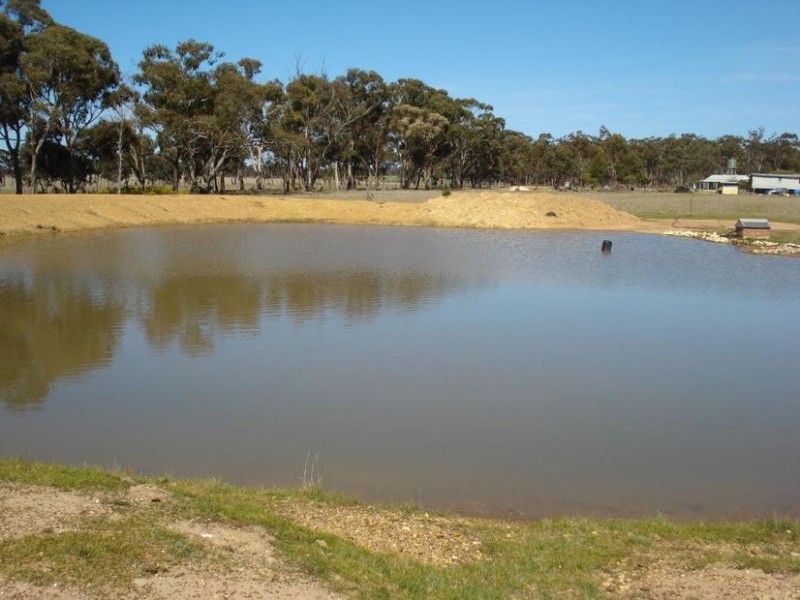 229 Shepherds Road, Maryborough VIC 3465