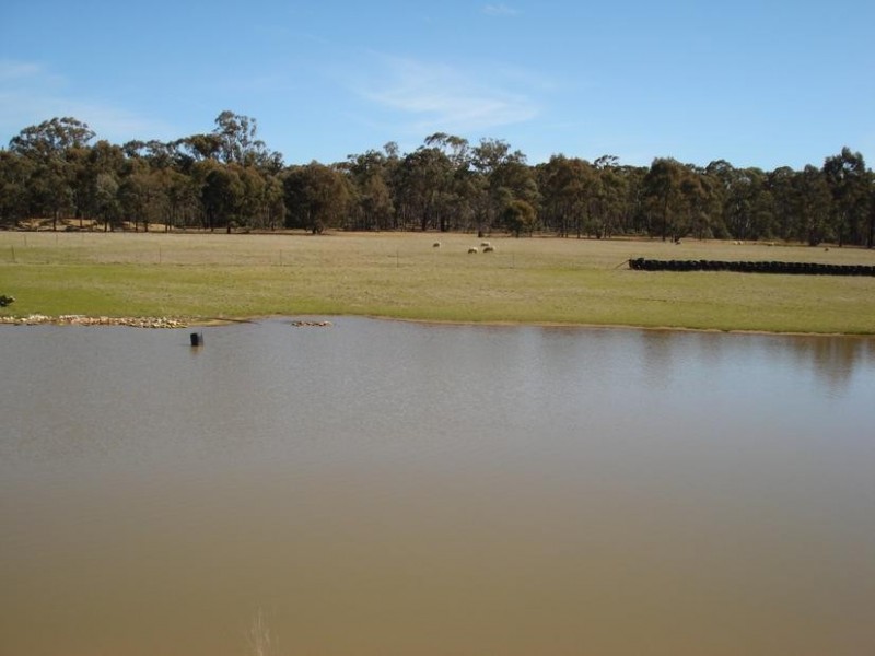 229 Shepherds Road, Maryborough VIC 3465