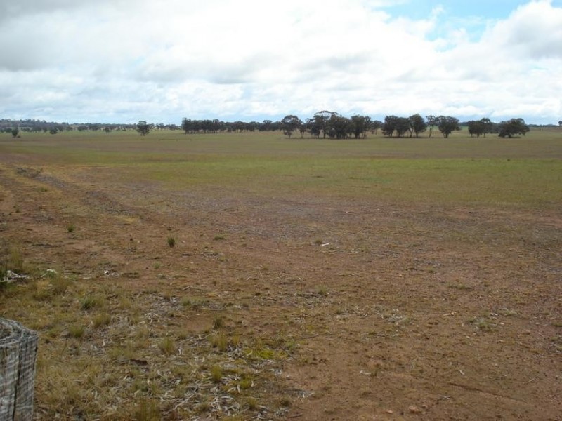 980 AVOCA DUNOLLY ROAD, Mount Hooghly VIC 3472