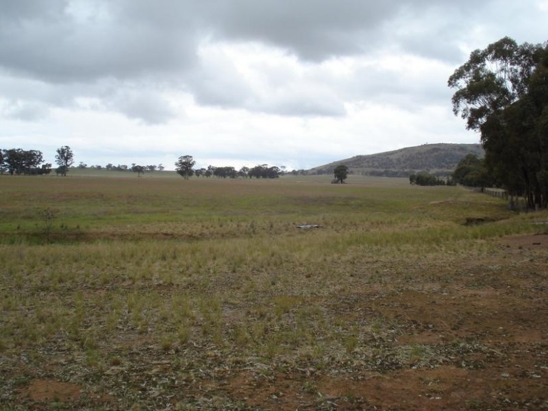 980 AVOCA DUNOLLY ROAD, Mount Hooghly VIC 3472