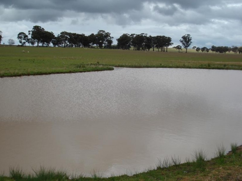 980 AVOCA DUNOLLY ROAD, Mount Hooghly VIC 3472