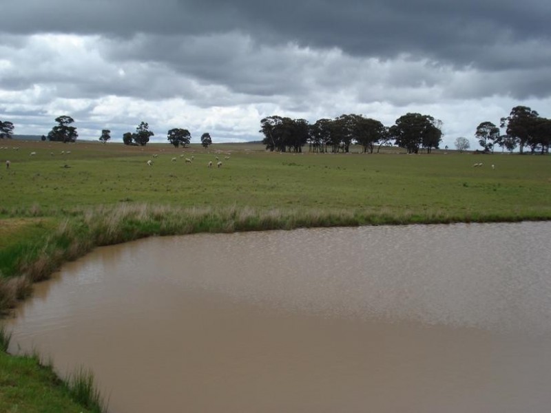 980 AVOCA DUNOLLY ROAD, Mount Hooghly VIC 3472