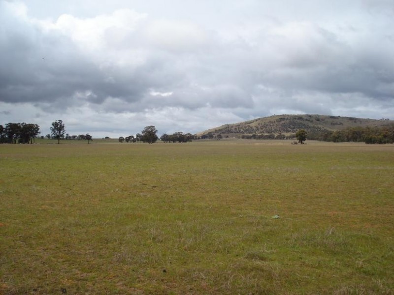 980 AVOCA DUNOLLY ROAD, Mount Hooghly VIC 3472