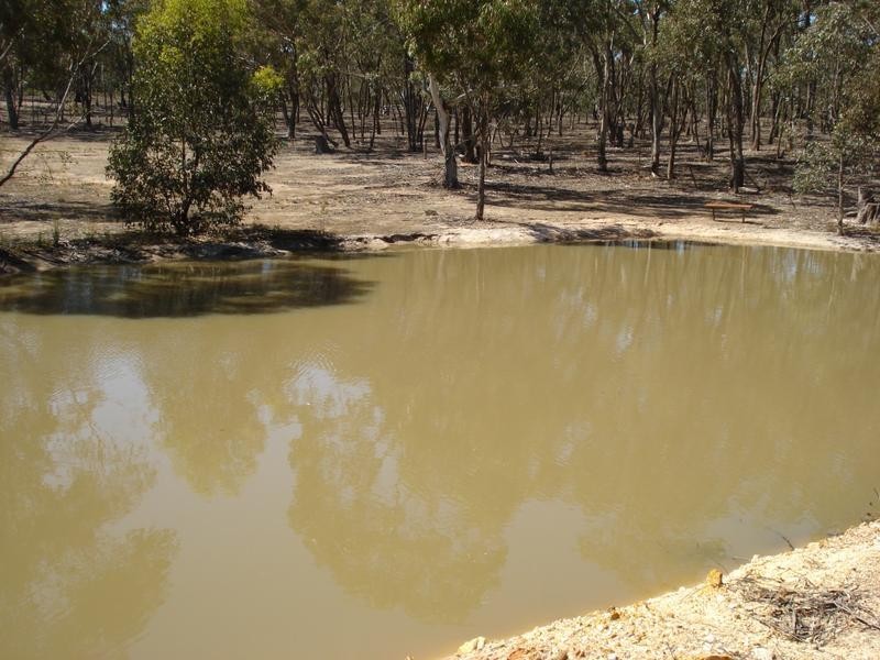 261 Newitts Lane BEALIBA, Dunolly VIC 3472