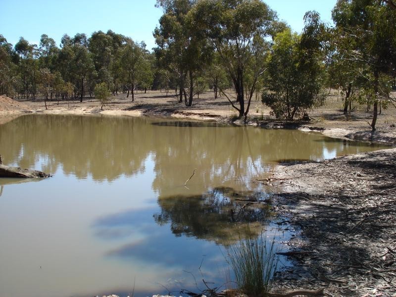 261 Newitts Lane BEALIBA, Dunolly VIC 3472