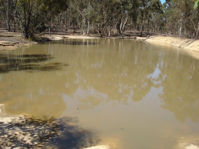 261 Newitts Lane BEALIBA, Dunolly VIC 3472