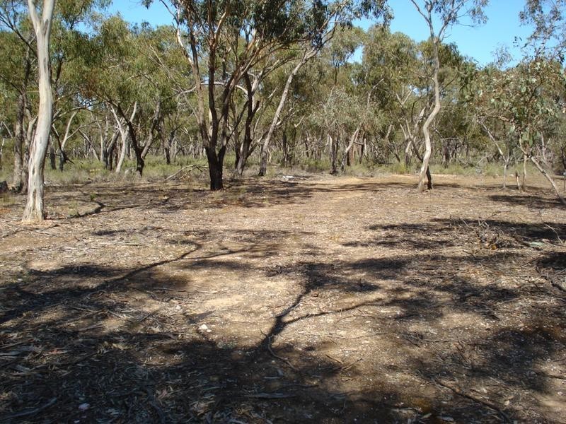 261 Newitts Lane BEALIBA, Dunolly VIC 3472