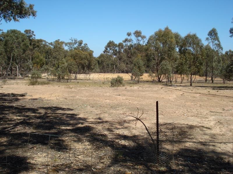 261 Newitts Lane BEALIBA, Dunolly VIC 3472