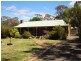 75 Gladstone Street TARNAGULLA, Dunolly VIC 3472