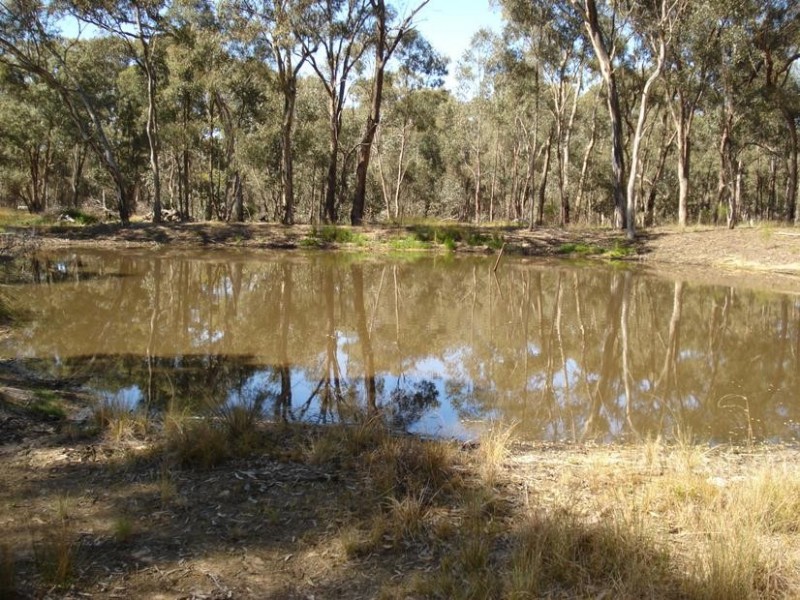 90 Nicholls Road DAISY HILL, Maryborough VIC 3465