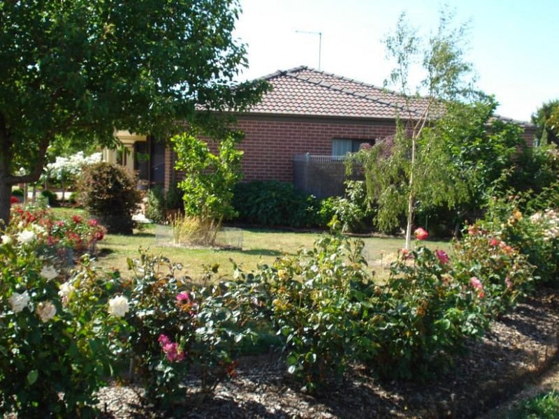 1/2 Dundas Road, Maryborough VIC 3465