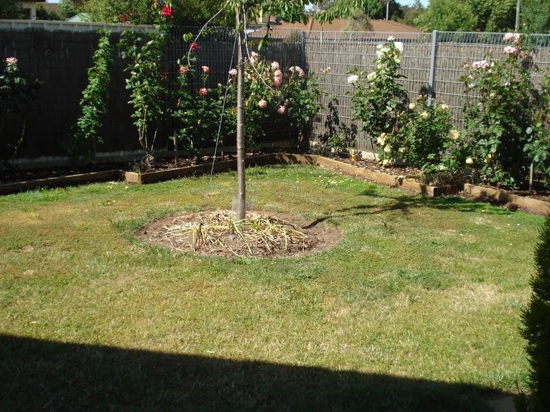 1/2 Dundas Road, Maryborough VIC 3465