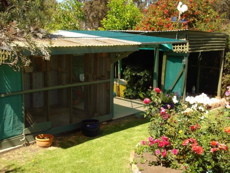 106 Queens Avenue, Maryborough VIC 3465