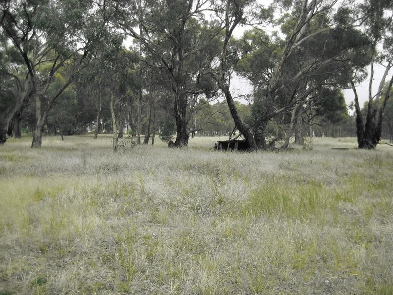 522 Dunolly-Moliagul Road, Dunolly VIC 3472