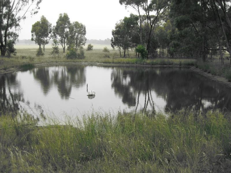 522 Dunolly-Moliagul Road, Dunolly VIC 3472