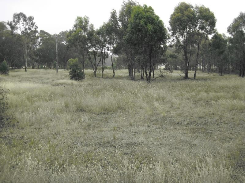 522 Dunolly-Moliagul Road, Dunolly VIC 3472