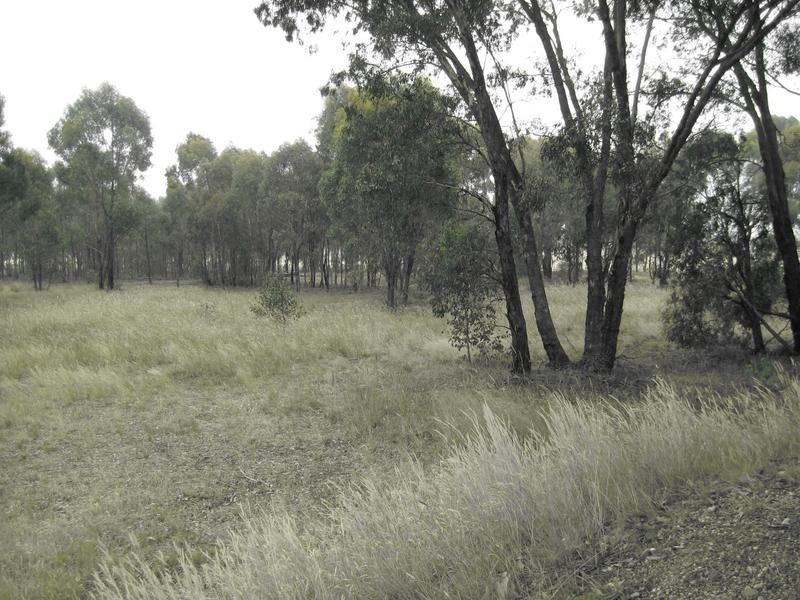 522 Dunolly-Moliagul Road, Dunolly VIC 3472