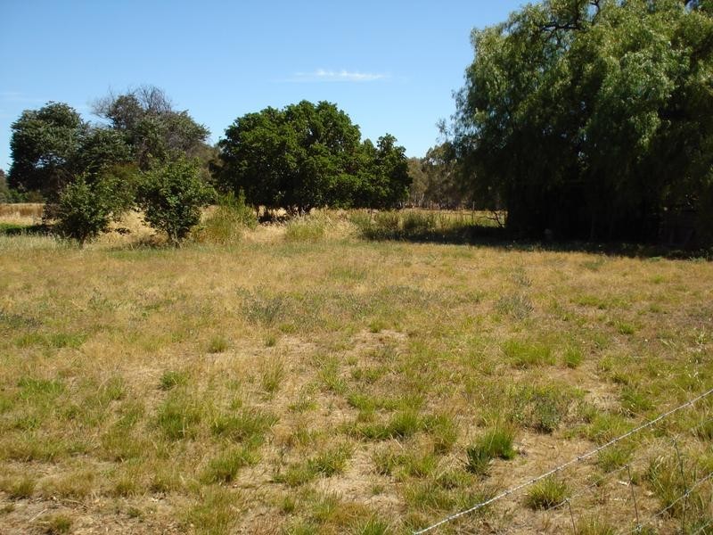 151 Dunolly Moliagul Road, Dunolly VIC 3472
