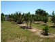 89 Maude Street, Dunolly VIC 3472