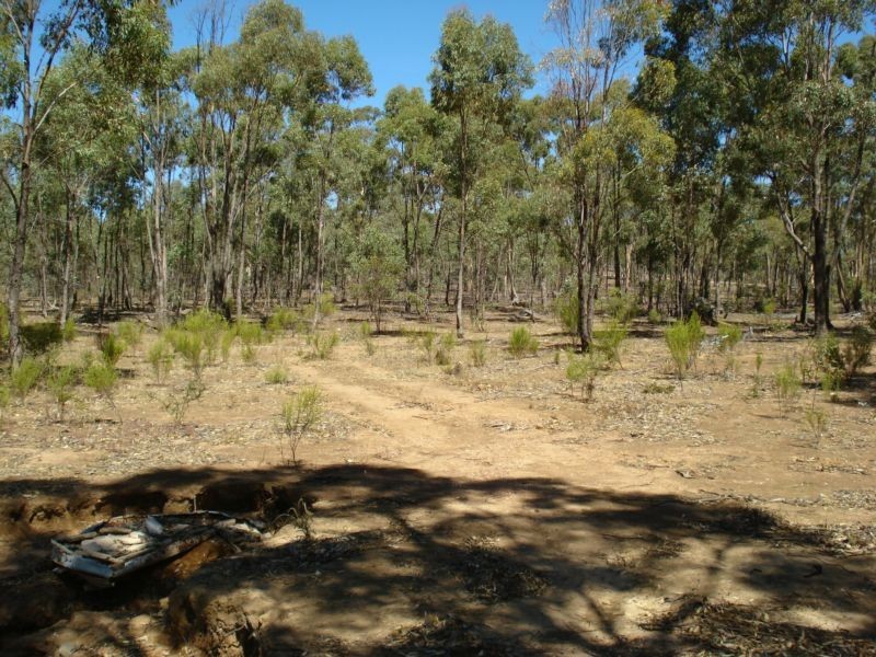 90 MOLIAGUL DRIVE, Moliagul VIC 3472