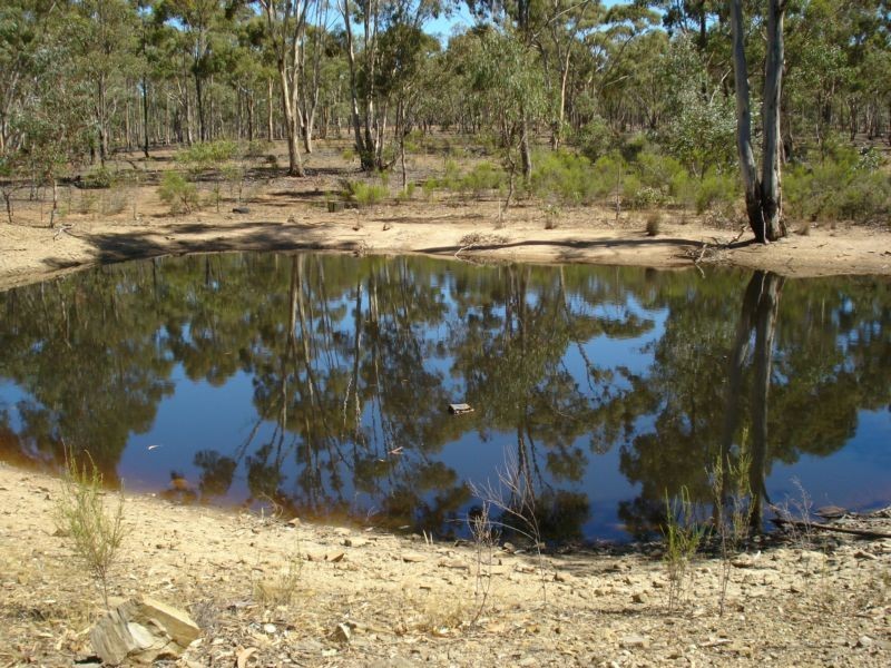 90 MOLIAGUL DRIVE, Moliagul VIC 3472