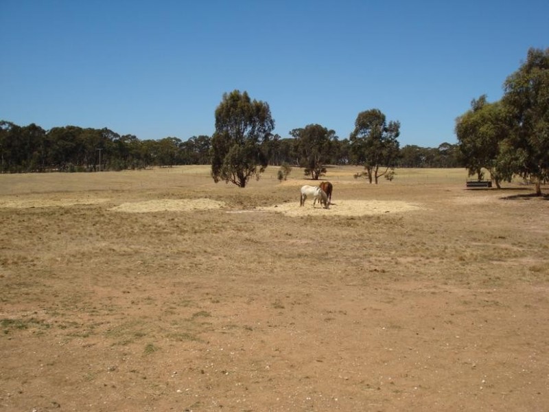 40 Pilchers Road, REDLION, Maryborough VIC 3465