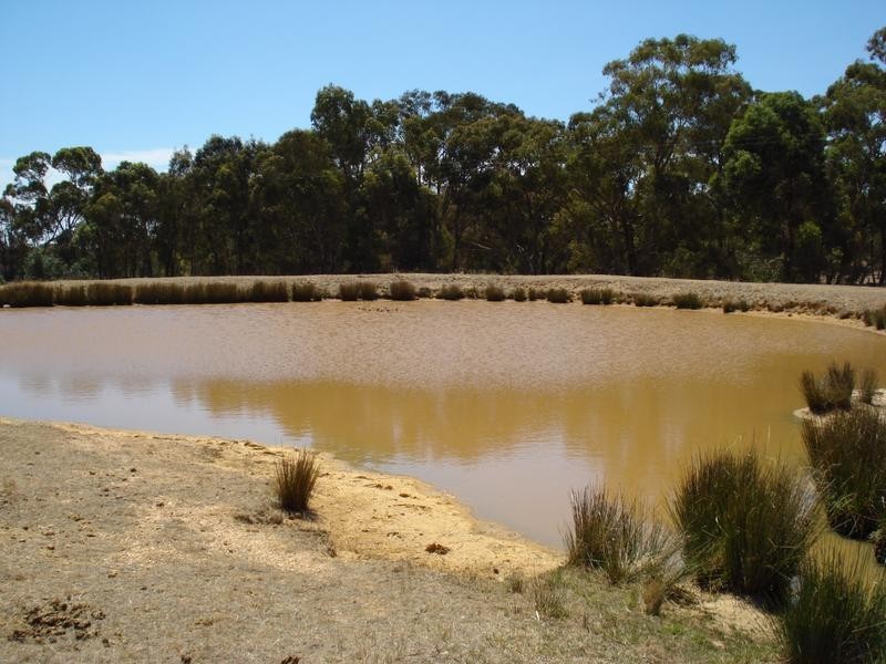 40 Pilchers Road, REDLION, Maryborough VIC 3465