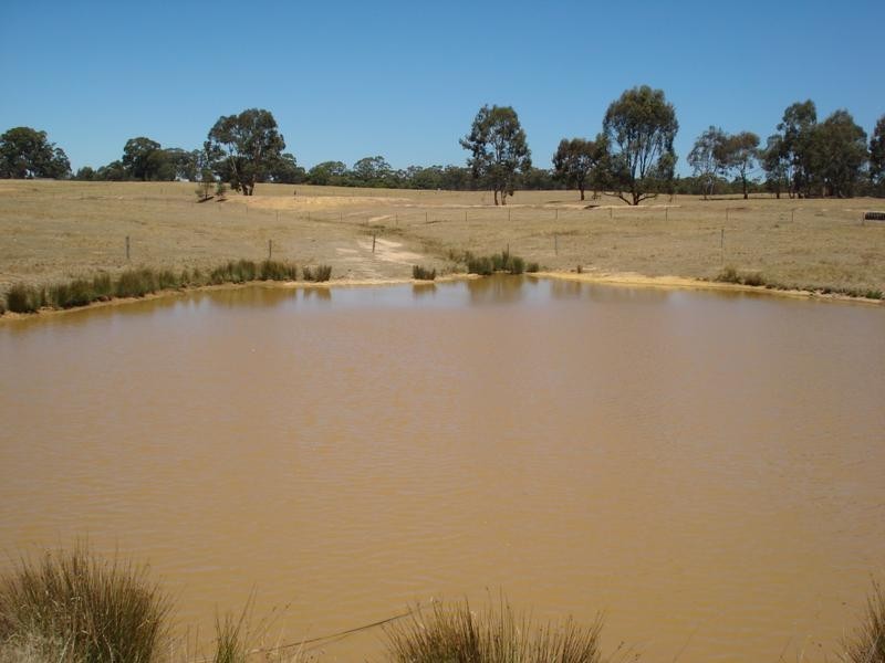 40 Pilchers Road, REDLION, Maryborough VIC 3465