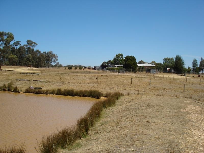 40 Pilchers Road, REDLION, Maryborough VIC 3465