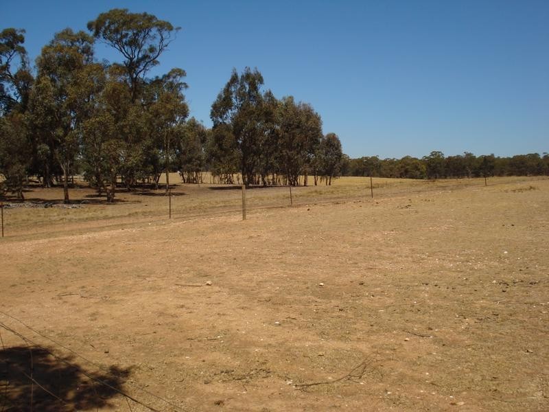 40 Pilchers Road, REDLION, Maryborough VIC 3465