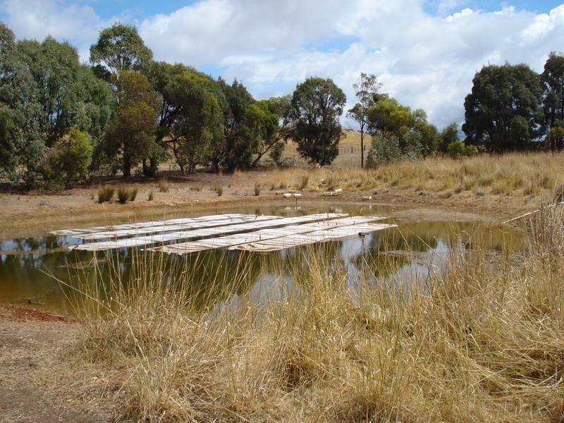 360 Majorca Road, Red Lion, Talbot VIC 3371