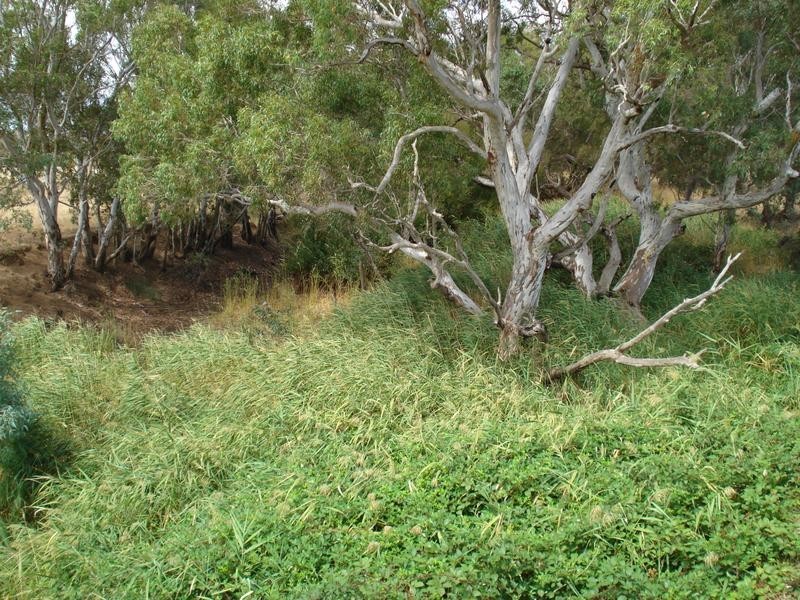 360 Majorca Road, Red Lion, Talbot VIC 3371