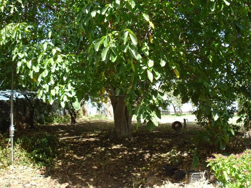 7 Bucknall Street, CARISBROOK, Maryborough VIC 3465